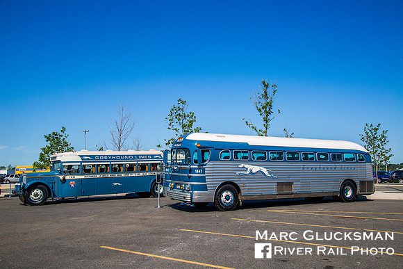 100 Years Of Greyhound