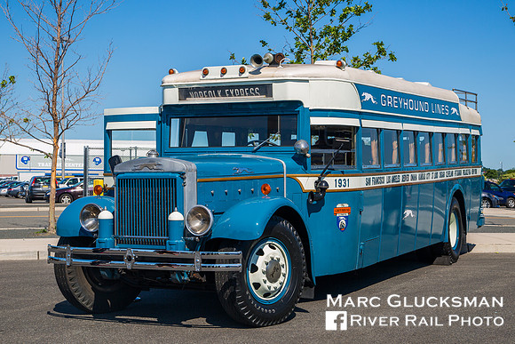 100 Years Of Greyhound