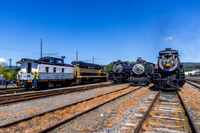 Steam Lineup, with DLW 885 NKP 514, Steamtown NHS, Scranton, Pennsylvania