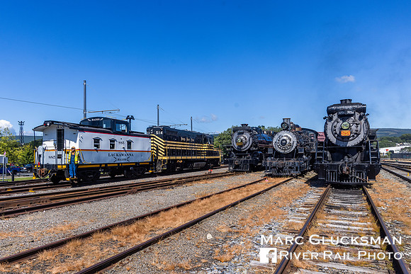 Steam Lineup, with DLW 885 NKP 514, Steamtown NHS, Scranton, Pennsylvania