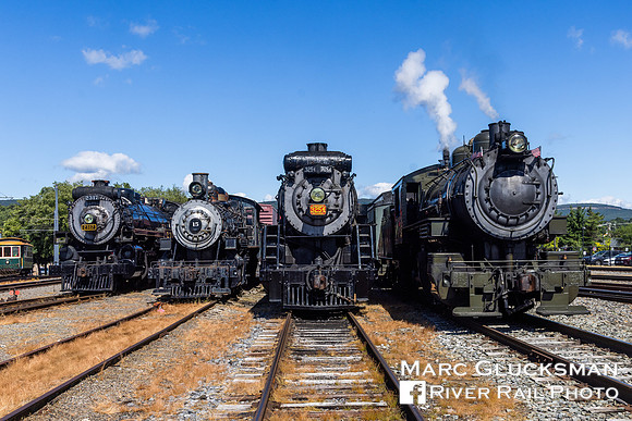 Steam Lineup, Baldwin 26, Steamtown NHS, Scranton, Pennsylvania