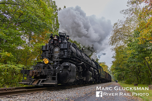 WMSR 1309