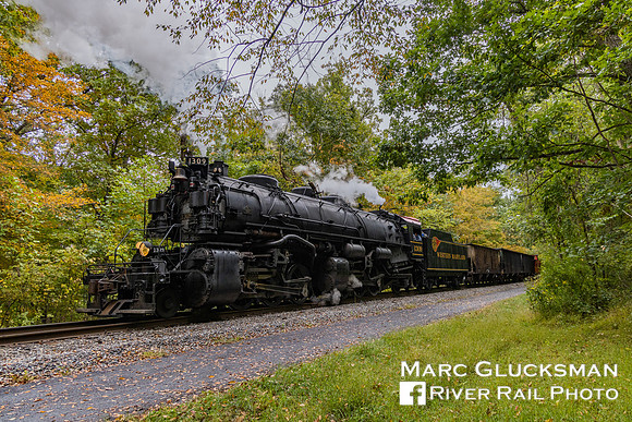 WMSR 1309