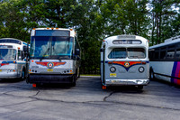 2025 Friends NJTHC Bus Festival and Parade