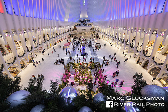 Oculus, World Trade Center Transportation Hub, New York, New York