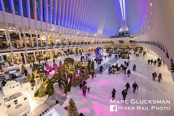 Oculus, World Trade Center Transportation Hub, New York, New York