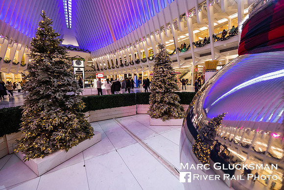 Oculus, World Trade Center Transportation Hub, New York, New York