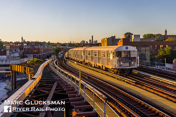 NYTM Special For Knicks NBA Finals R32, Ditmas Avenue, Brooklyn, New York
