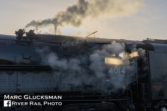 Union Pacific 4014 Big Boy, Audubon Review Park, New Orleans Louisiana