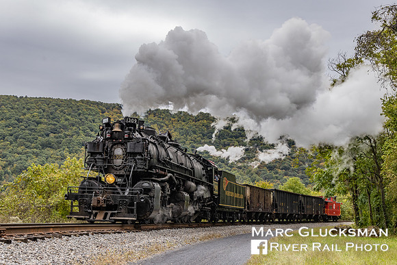 WMSR 1309