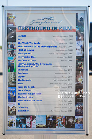 100 Years Of Greyhound