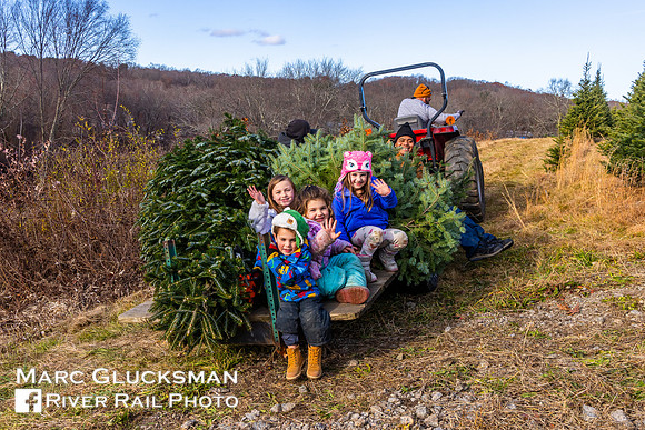 Gray Granite Railroad, South Glastonbury, CT