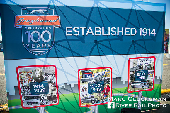 100 Years Of Greyhound