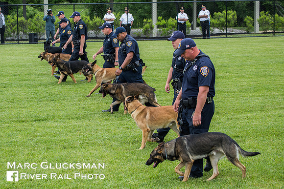 MTA K-9 Training Center Opening, Stormville, New York