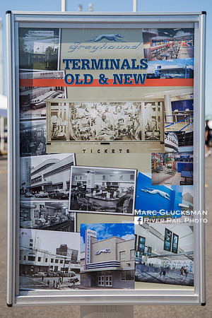 100 Years Of Greyhound