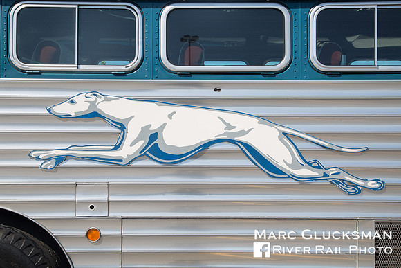 100 Years Of Greyhound