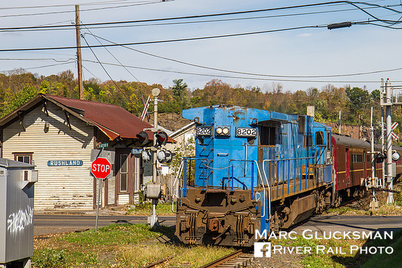 New Hope & Ivyland "Shoppers' Special", NHRR 8202, Rushland, Pennsylvania