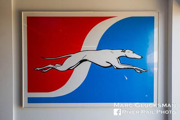 100 Years Of Greyhound