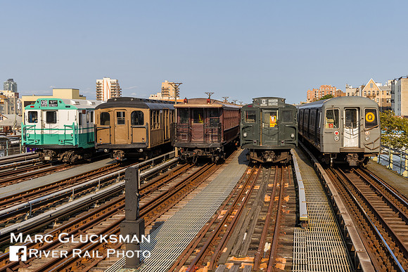 The Lineup, Ocean Parkway, Brooklyn, New York