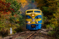 New York & Lake Erie, Gowanda, New York