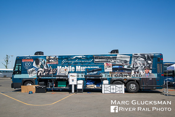 100 Years Of Greyhound
