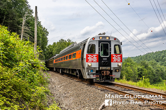 Naugatuck Railroad RMNE, SPV, Litchfield, Connecticut