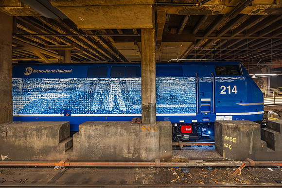 MTA Metro-North Railroad MNCW 214 (Employee Appreciation), Grand Central Terminal (GCT), New York