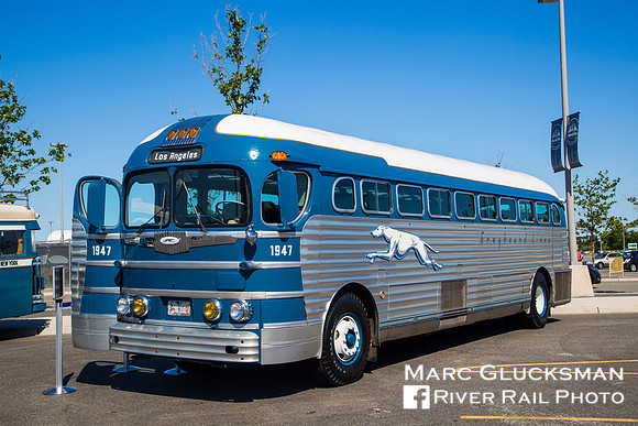 100 Years Of Greyhound